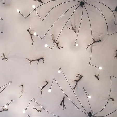 Rifugio Pian Di Rocchi *