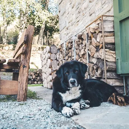 ホテル Rifugio Pian Di Rocchi Corniolo