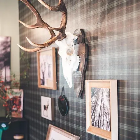 ホテル Rifugio Pian Di Rocchi