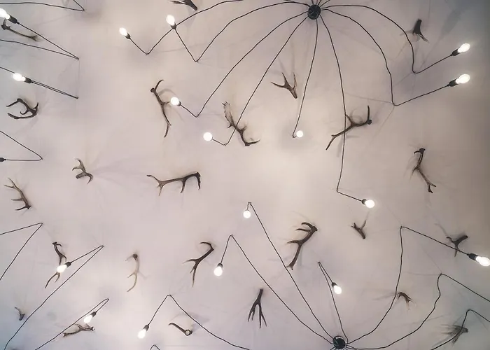 Rifugio Pian Di Rocchi *