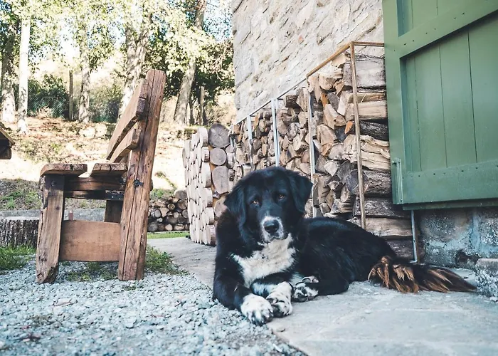 Hotel Rifugio Pian Di Rocchi Corniolo (Emilia-Romagna)