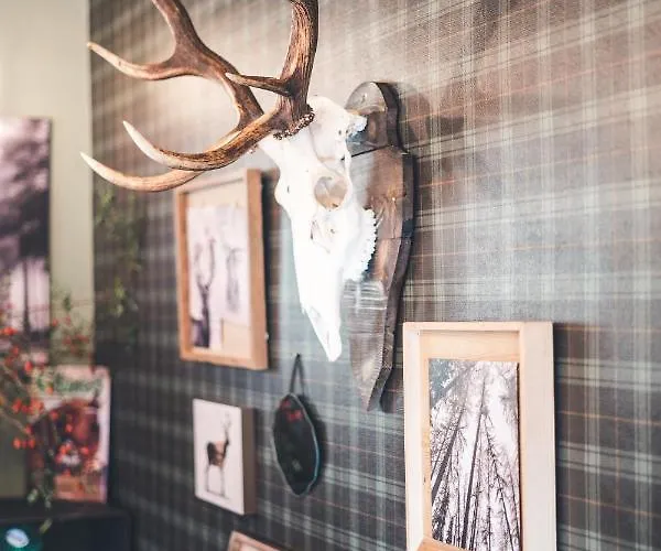 호텔 Rifugio Pian Di Rocchi